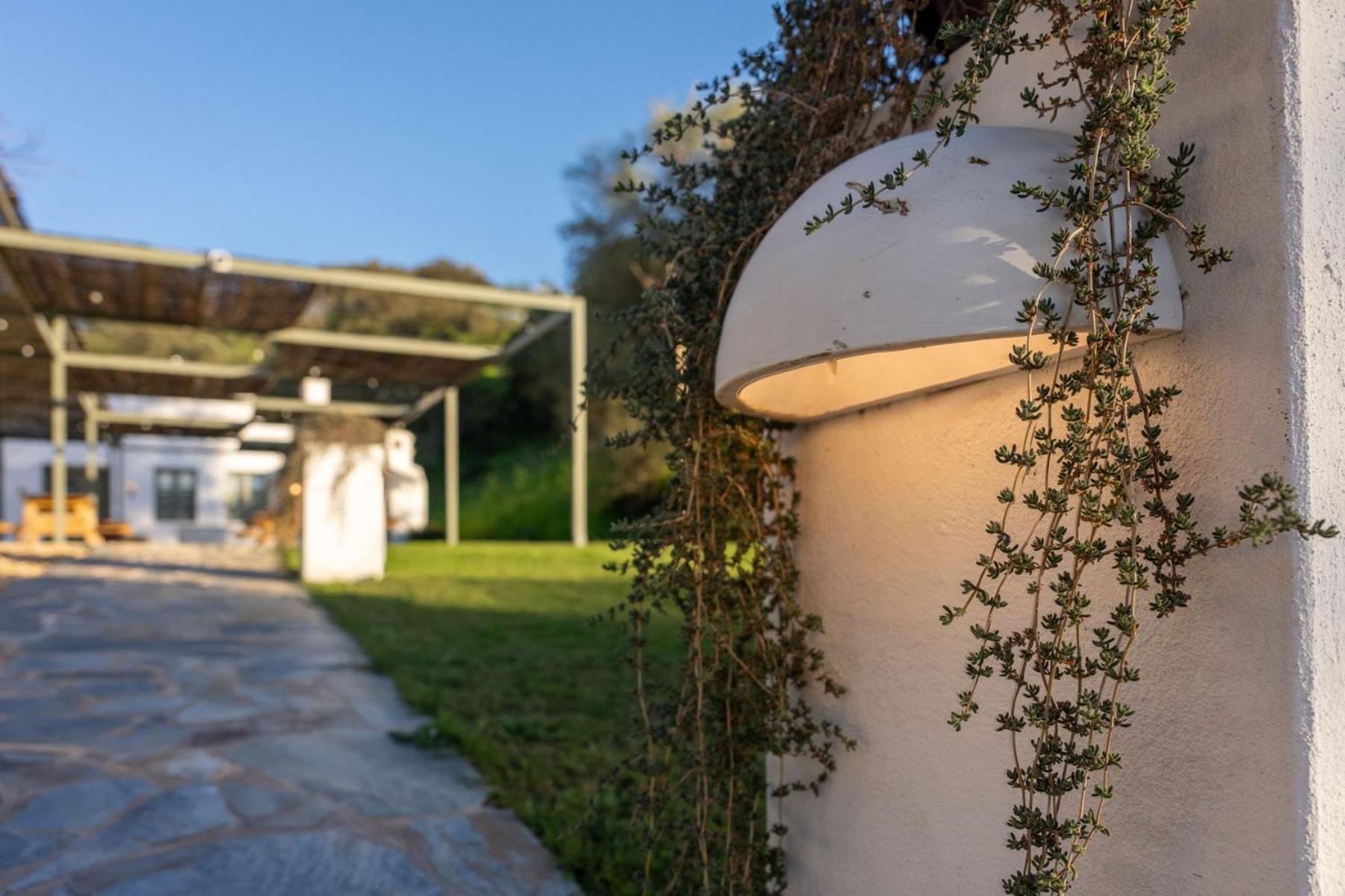 Apartamentos, Finca Contrabando Sanlucar Del Guadiana, Huelva Sanlucar De Guadiana Exterior photo